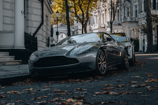 Tusk Casino Android/iOS Forrit